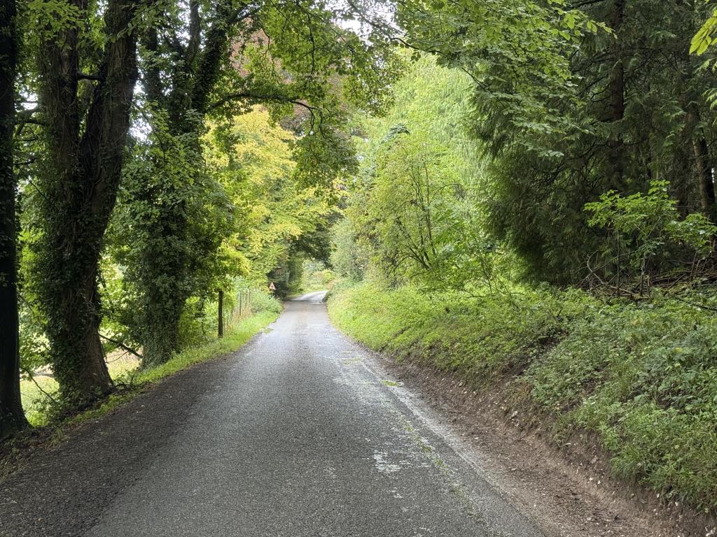 Lot: 60 - FREEHOLD INTEREST IN VARIOUS SMALL PARCELS OF LAND AND COUNTRY ROADWAYS - View along country lane